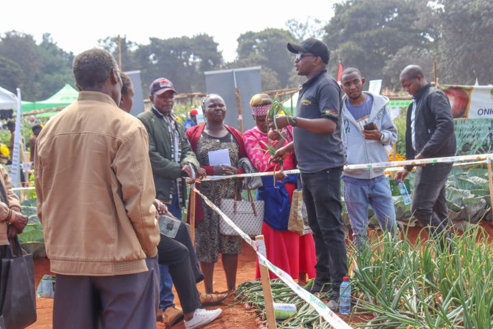 WAMBUGU ATC FIELD DAY (JULY 2025)