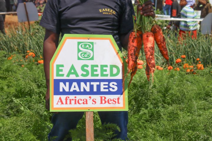 WAMBUGU ATC FIELD DAY (JULY 2025)