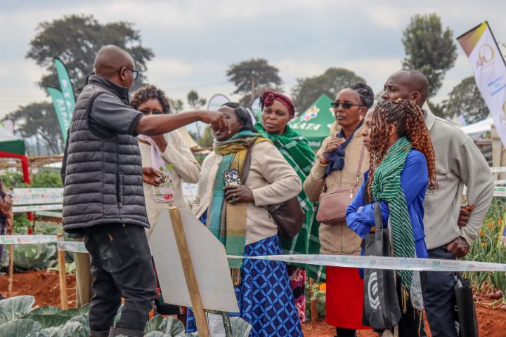 WAMBUGU ATC FIELD DAY (JULY 2025)
