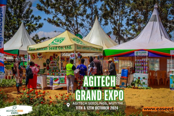 AGITECH GRAND EXPO 2024 (OCTOBER)