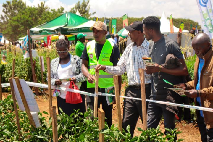 AGITECH GRAND EXPO 2024 (OCTOBER)