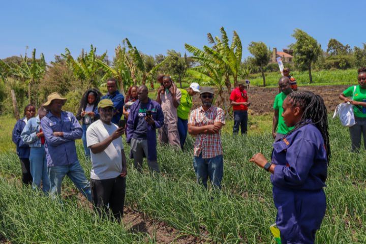 ONION REDSANGA F1 RE-LAUNCH & FARMERS TRAINING (FEBRUARY 2025)