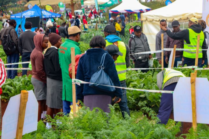 WAMBUGU A.T.C FIELD DAY (JULY 2024)