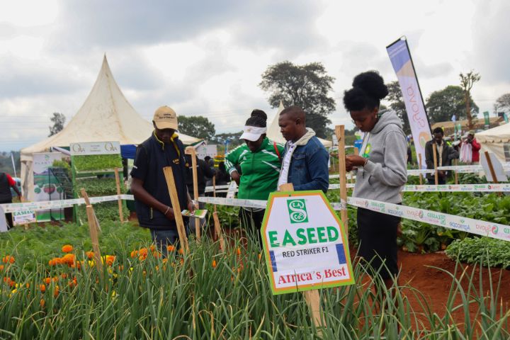 WAMBUGU A.T.C FIELD DAY (JULY 2024)